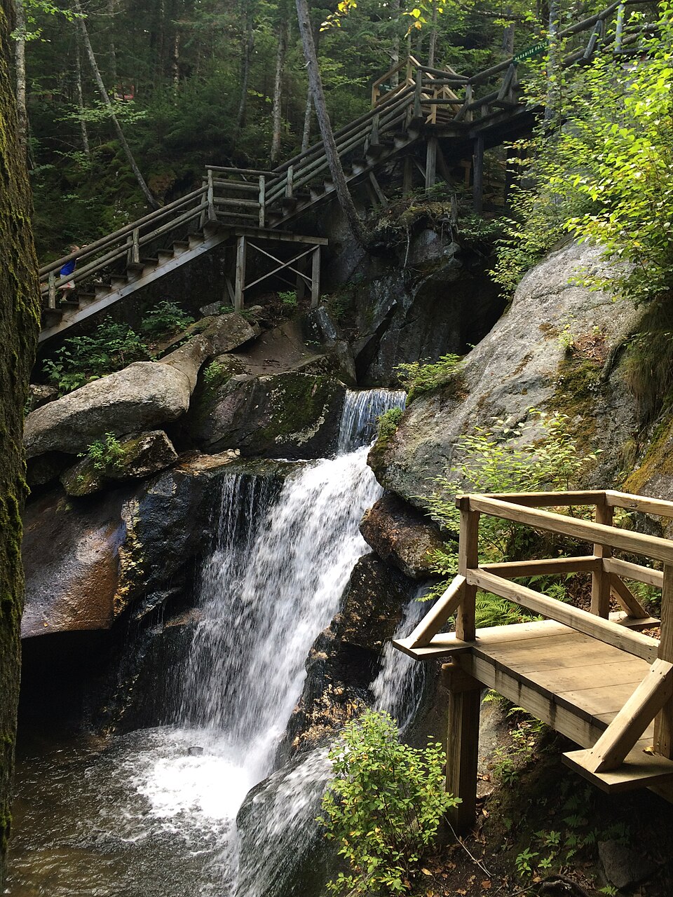 Lost River峡谷适合孩子吗？洞穴、步道与体力选择｜Lost River Gorge waterfall and platform