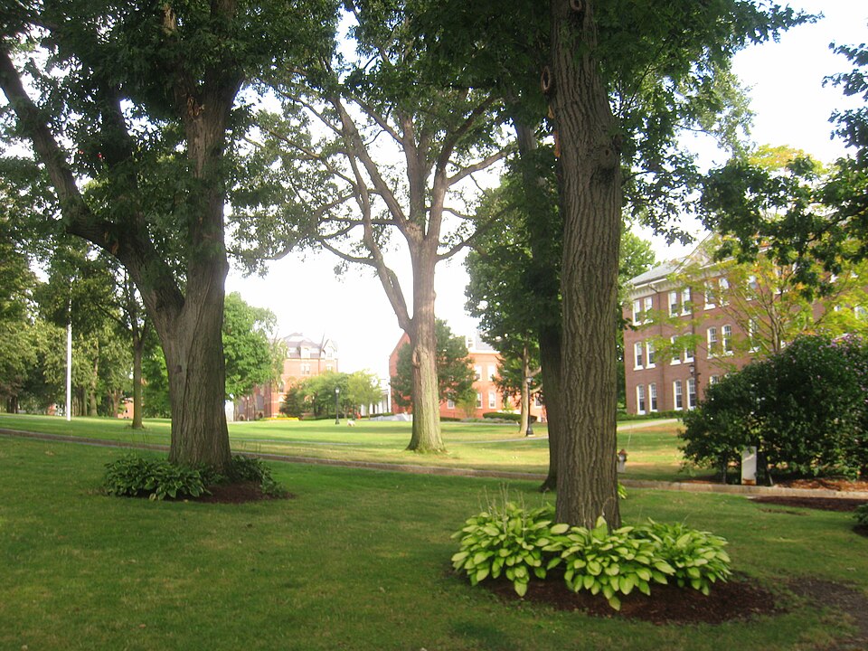塔夫茨大学访校怎么安排？校区、坡路与家庭接送｜Campus - Tufts University - IMG 0947