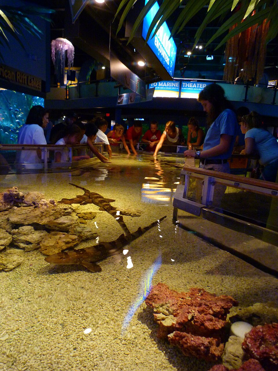 Mystic水族馆怎么安排？亲子看展与美东中途停靠｜Mystic Aquarium - Mystic CT