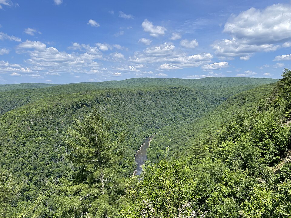 宾州Pine Creek峡谷怎么看？观景台与父母交通｜Pine Creek Gorge looking north from Leonard Harrison State Park July 2022