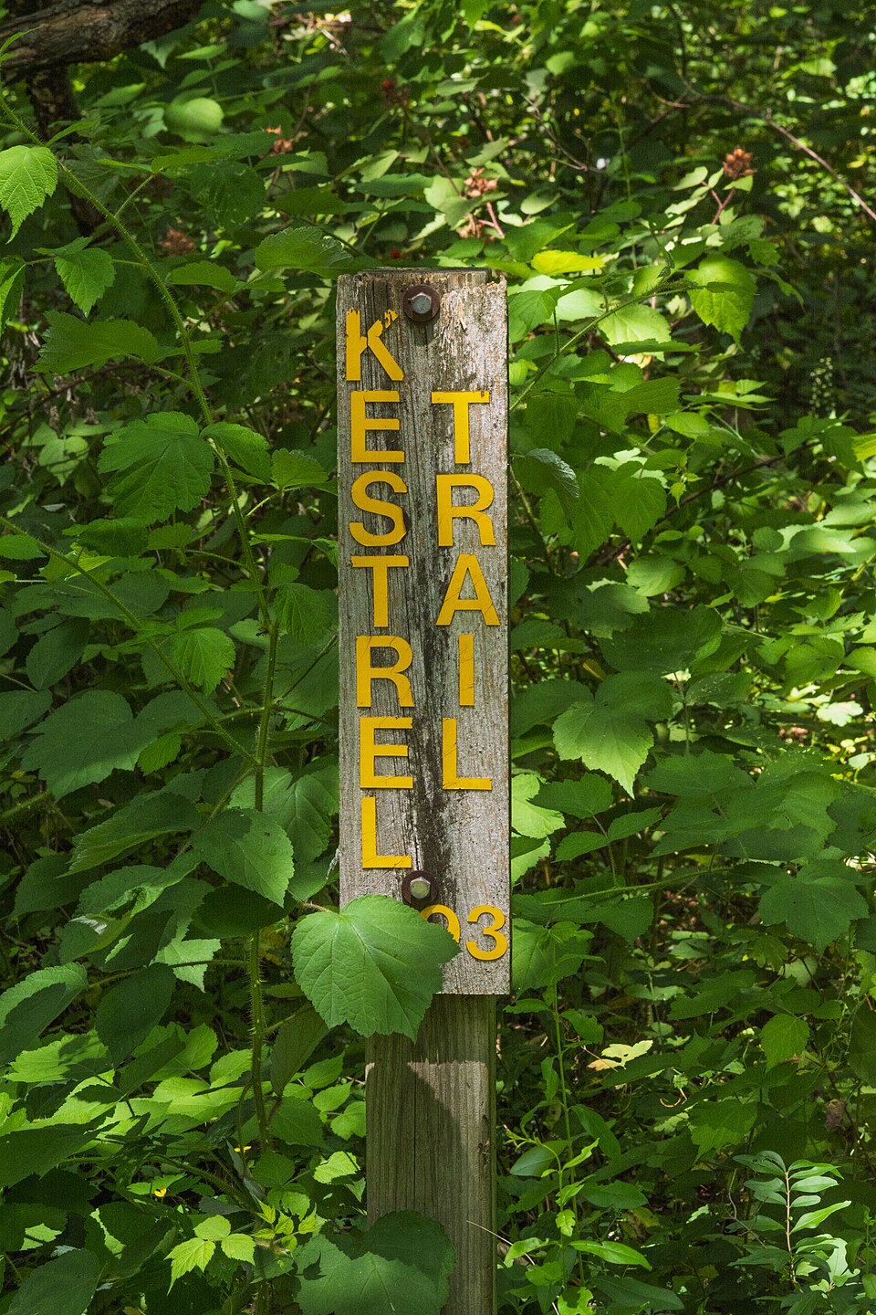 康州Osborne Homestead怎么参观？历史住宅与园地｜Kestrel Trail, Osborne Homestead (54921182227)