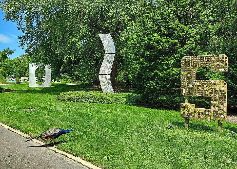 新泽西雕塑公园怎么玩？户外艺术与老人步行｜Grounds for Sculpture - Roaming peacock