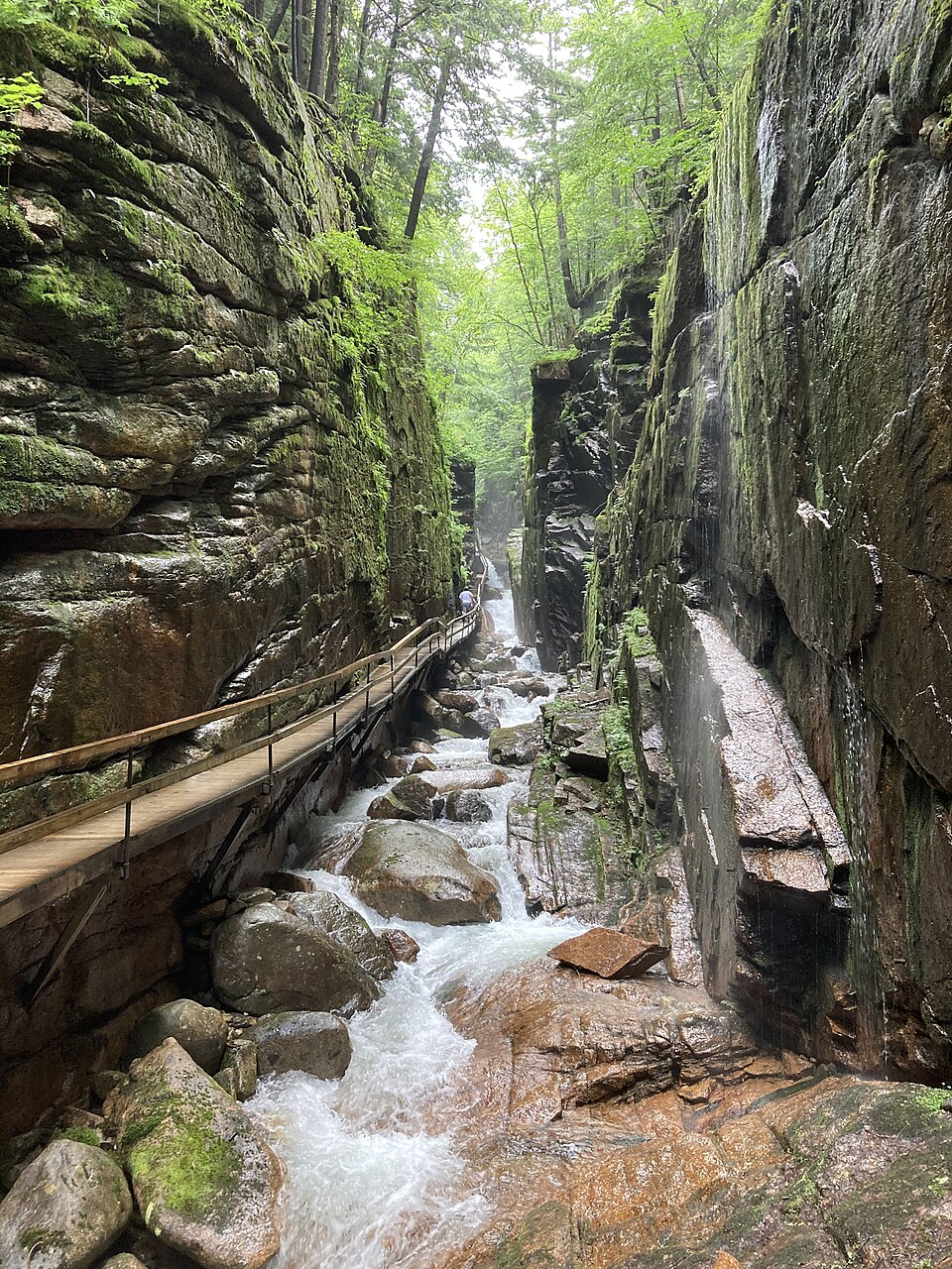 新罕布什尔Flume Gorge适合老人吗？台阶与全程步道与替代安排｜Flume Gorge July 2023