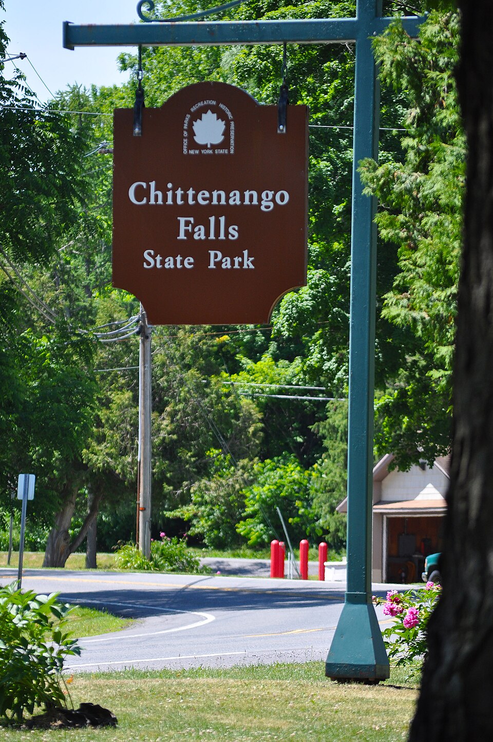 奇特南戈瀑布州立公园怎么玩？观景与家庭短停｜Chittenango-state-park