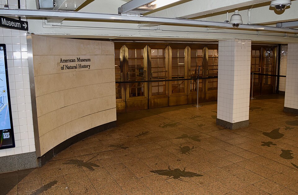纽约自然历史博物馆亲子攻略:恐龙、票种与参观路线|American Museum of Natural History subway station entrance
