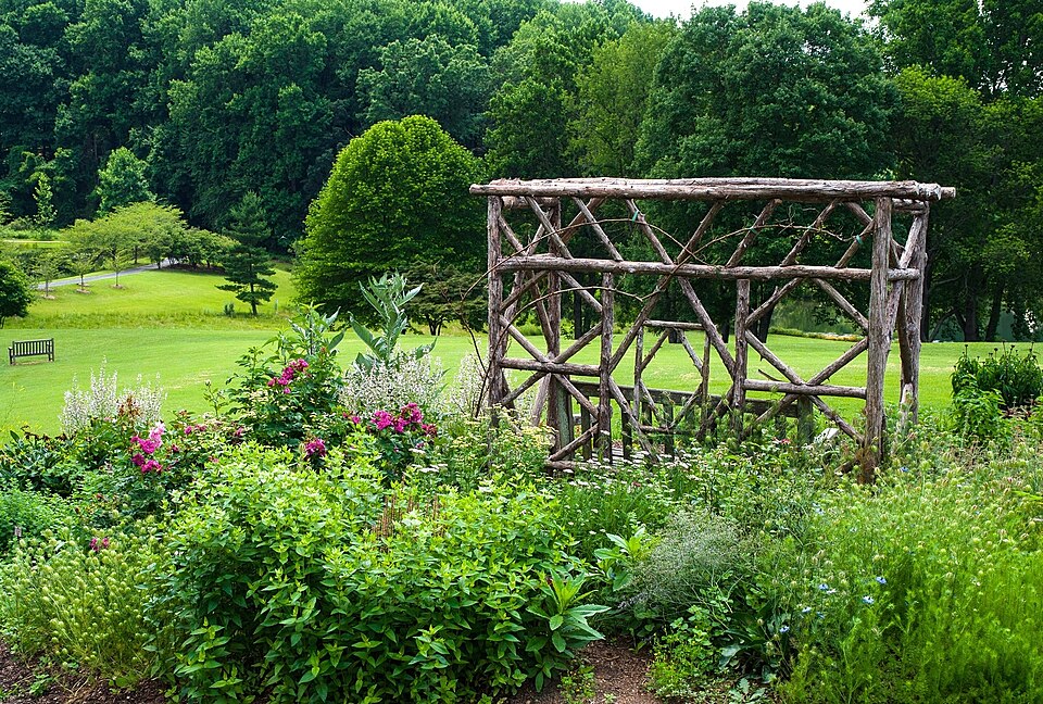 弗吉尼亚Meadowlark花园怎么去？亲子与夜场取舍｜Meadowlark Gardens in June 2014 (16953609847)