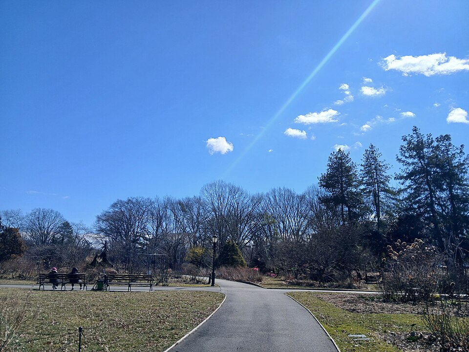 皇后区植物园怎么安排？法拉盛亲子与季节选择｜Queens Botanical Garden Mar 2025 16