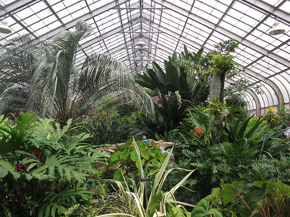 马里兰Brookside花园怎么玩？父母短段与季节安排｜Brookside Gardens in June (18595872359)
