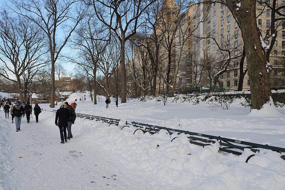带70岁父母去纽约，三天行程怎样安排才能少走路？｜Central Park New York January 2016 001