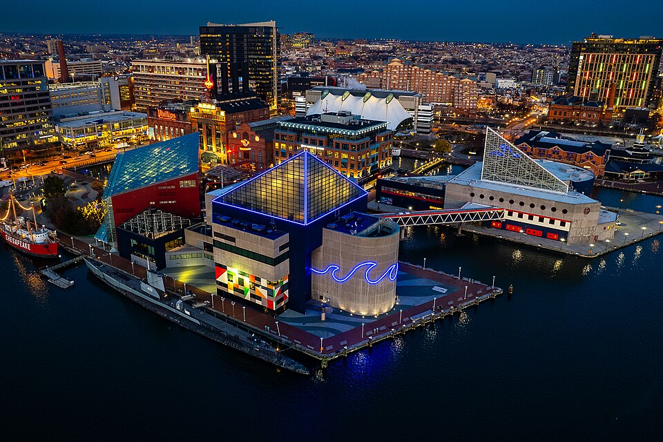 巴尔的摩国家水族馆怎么安排？婴儿车、门票与跨城攻略｜National Aquarium Night Aerial 2022