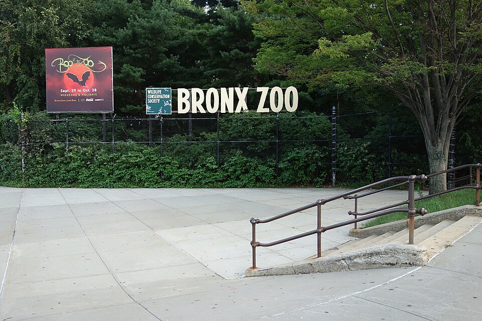 纽约布朗克斯动物园怎么玩？园区取舍与一天交通｜Fordham Rd Southern Bl td (2018-09-29) 03 - Bronx Zoo