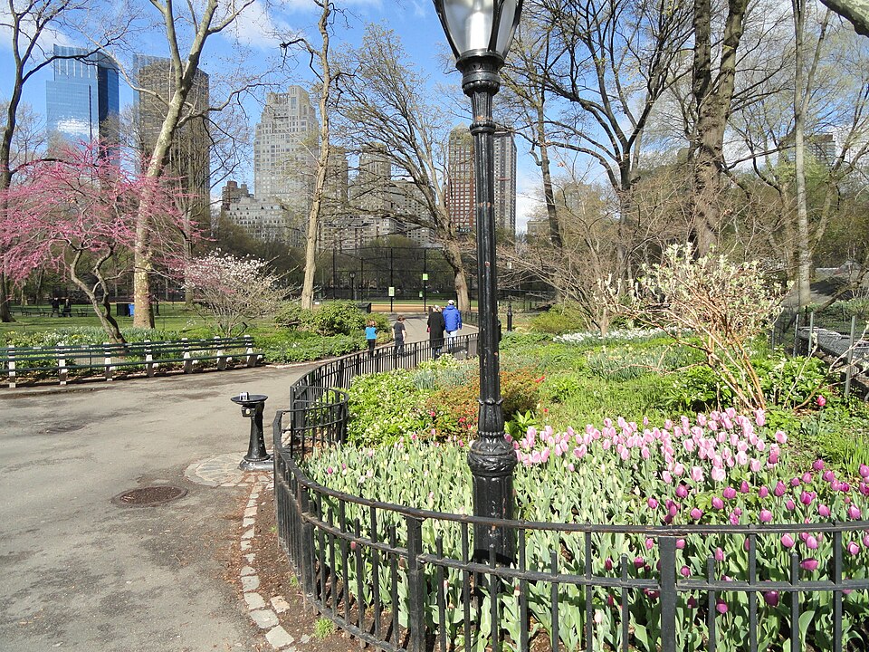 中央公园半日游怎么走？短路线、入口与包车接送边界｜Walking paths in Central Park - DSC05937