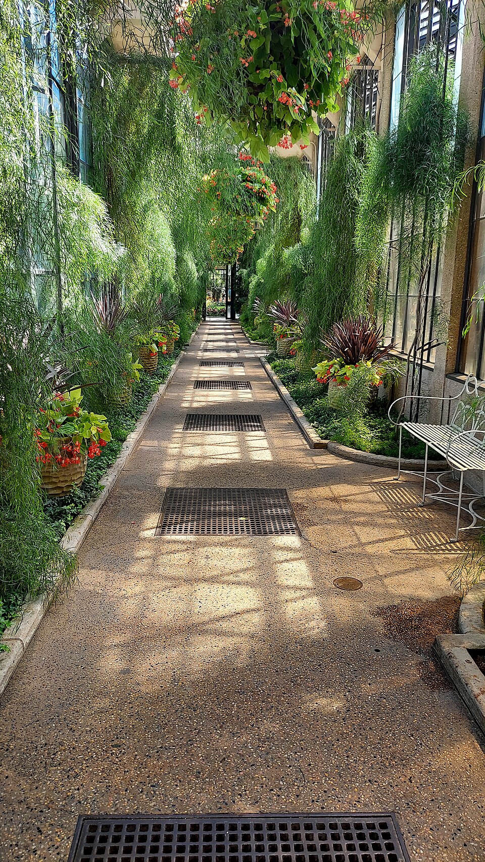 费城去长木花园怎么玩？温室、夜场与家庭交通｜Longwood Gardens - Conservatory 3