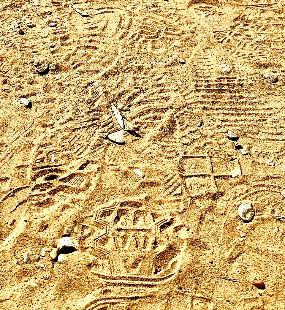 康州恐龍州立公園怎麼玩？足跡展與孩子興趣｜Footprints in the sand at Dinosaur State Park, Texas