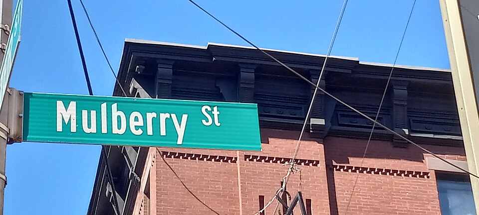 紐約小義大利怎麼吃？餐廳預訂、街區短停與家庭交通｜Little Italy Manhattan March 2025 003