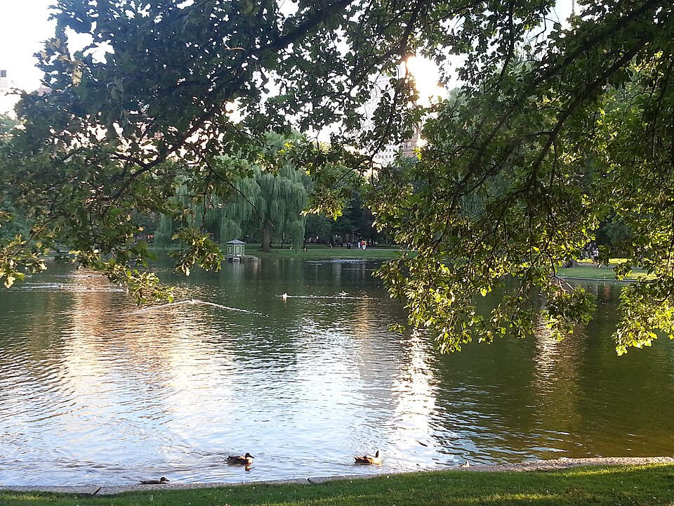 波士顿公园与公共花园怎么选?天鹅船与家庭短路线|Boston Common and Public Garden 2013-09-26 17-08-30