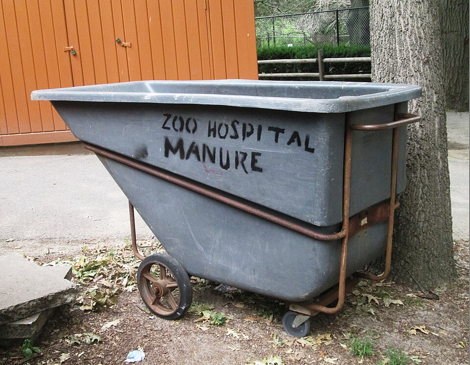 波士顿富兰克林公园动物园怎么玩？亲子选区与交通｜Zoo Hospital Manure, Franklin Park Zoo, Boston