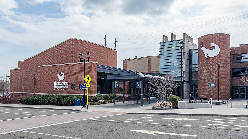 Norwalk海事水族館怎麼安排？康州親子與跨城停靠｜Maritime Aquarium at Norwalk (54412835630)