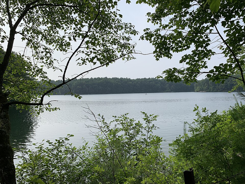 瓦爾登湖怎麼玩？短步行、停車與父母路線｜Walden Pond outlook