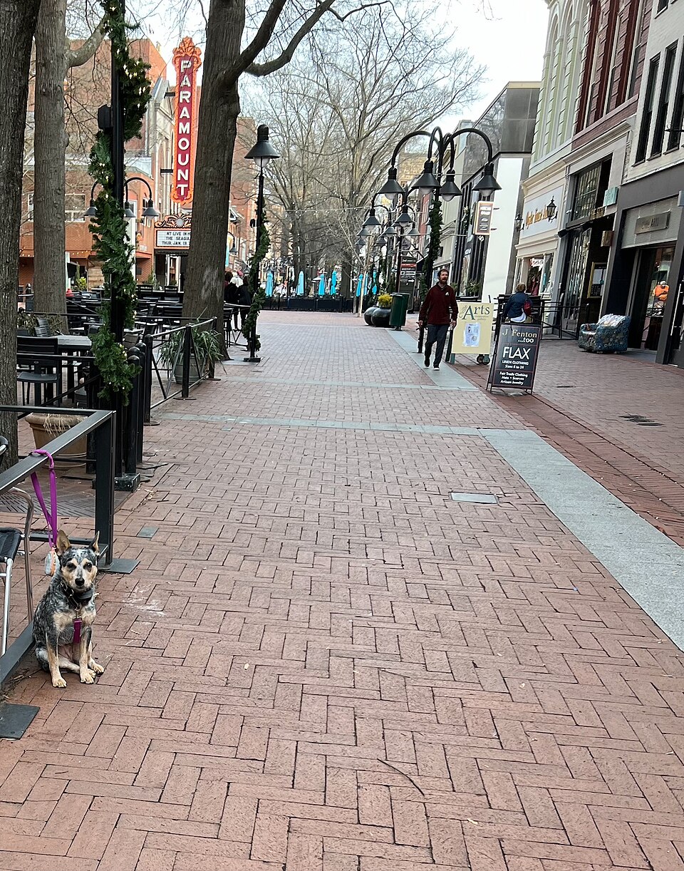 紐約到夏洛茨維爾 Charlottesville 包車：弗吉尼亞大學、歷史景點與住宿接送｜Downtown Mall Cville 2023