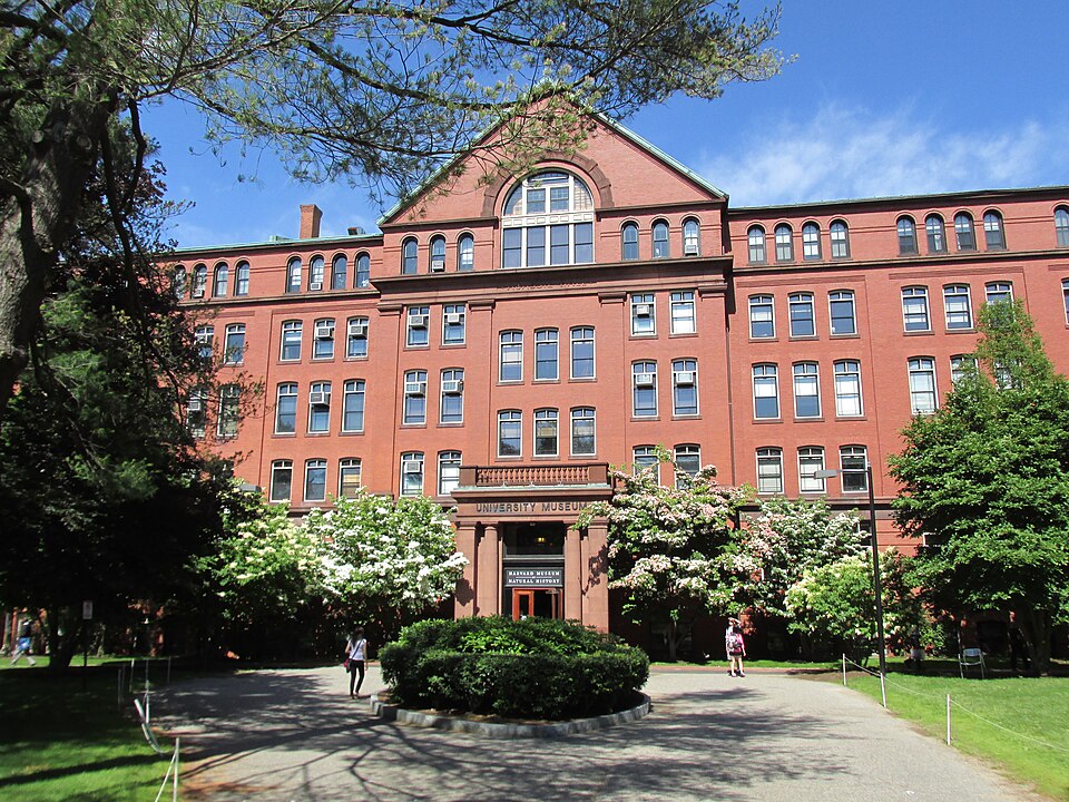 哈佛自然历史博物馆怎么玩？玻璃花与亲子访校取舍｜University Museum building at Harvard, Cambridge MA
