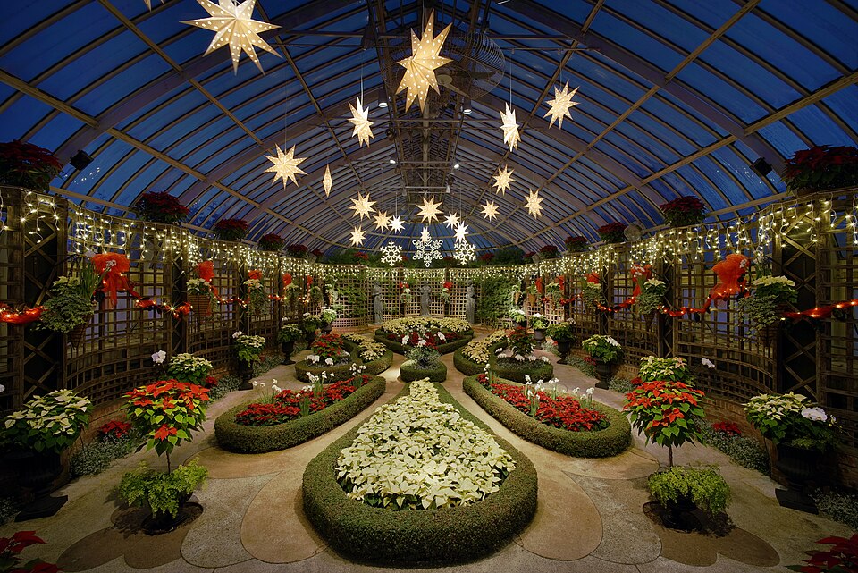 匹茲堡Phipps溫室怎麼玩？植物展與親子預約｜Phipps Conservatory winter 2015 Broderie Room